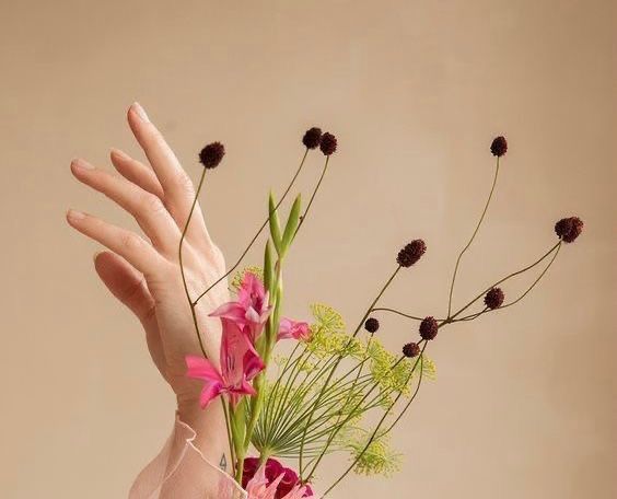 55d8a879-df50-4163-bfb6-eba57973ee5b