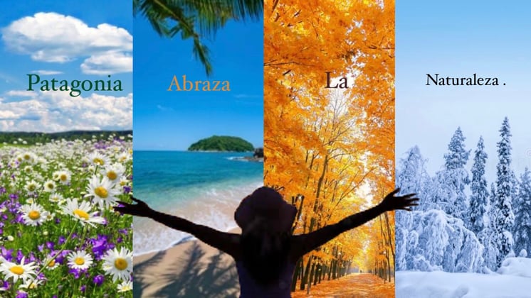 Seguramente has escuchado de Patagonia como una compañía de ropa al aire libre, o has escuchado de ella en las noticias  últimamente. Pero ¿en realidad conoces la razón tras esto? Patagonia es  una marca que trabaja para la naturaleza. Buscamos salvar el planeta tierra y tú puedes ser parte de la solución.