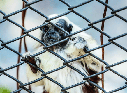 Captura de Pantalla 2022-11-23 a la(s) 6.29.22 p. m.