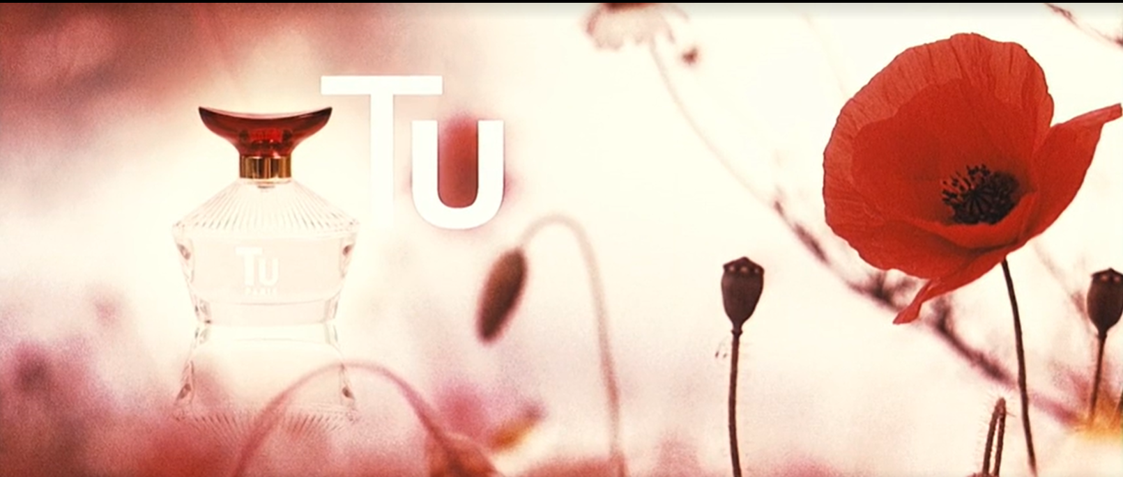 Captura de pantalla 2025-05-14 205647