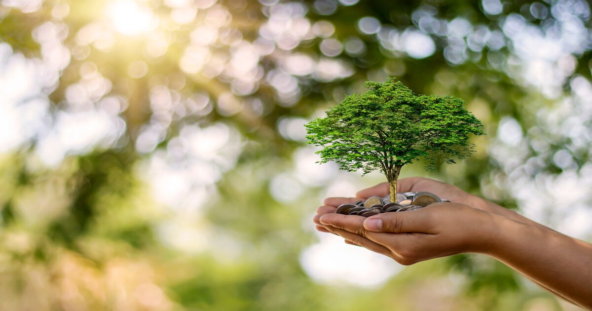 Sostenibilidad Ambiental