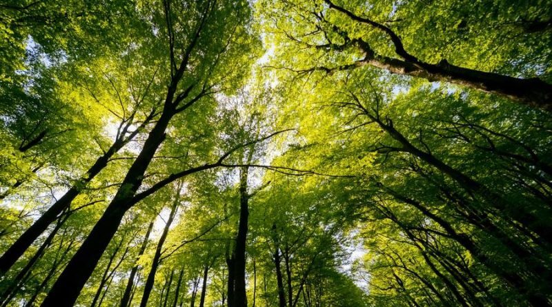 1630803971_archive_shutterstock_1852819489_rz900-800x445