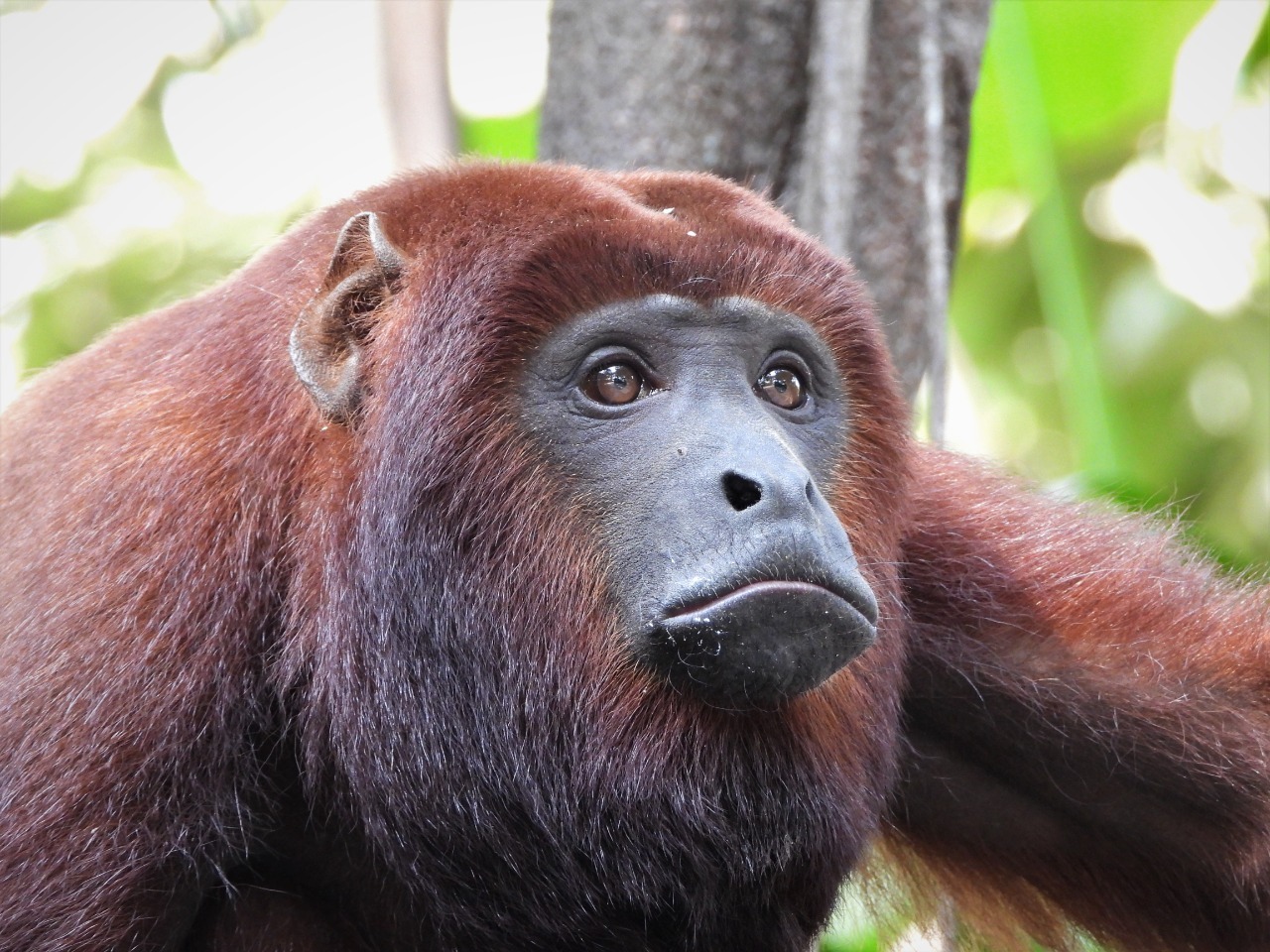 40c9524a-3927-4b82-81e8-25af40c8969a