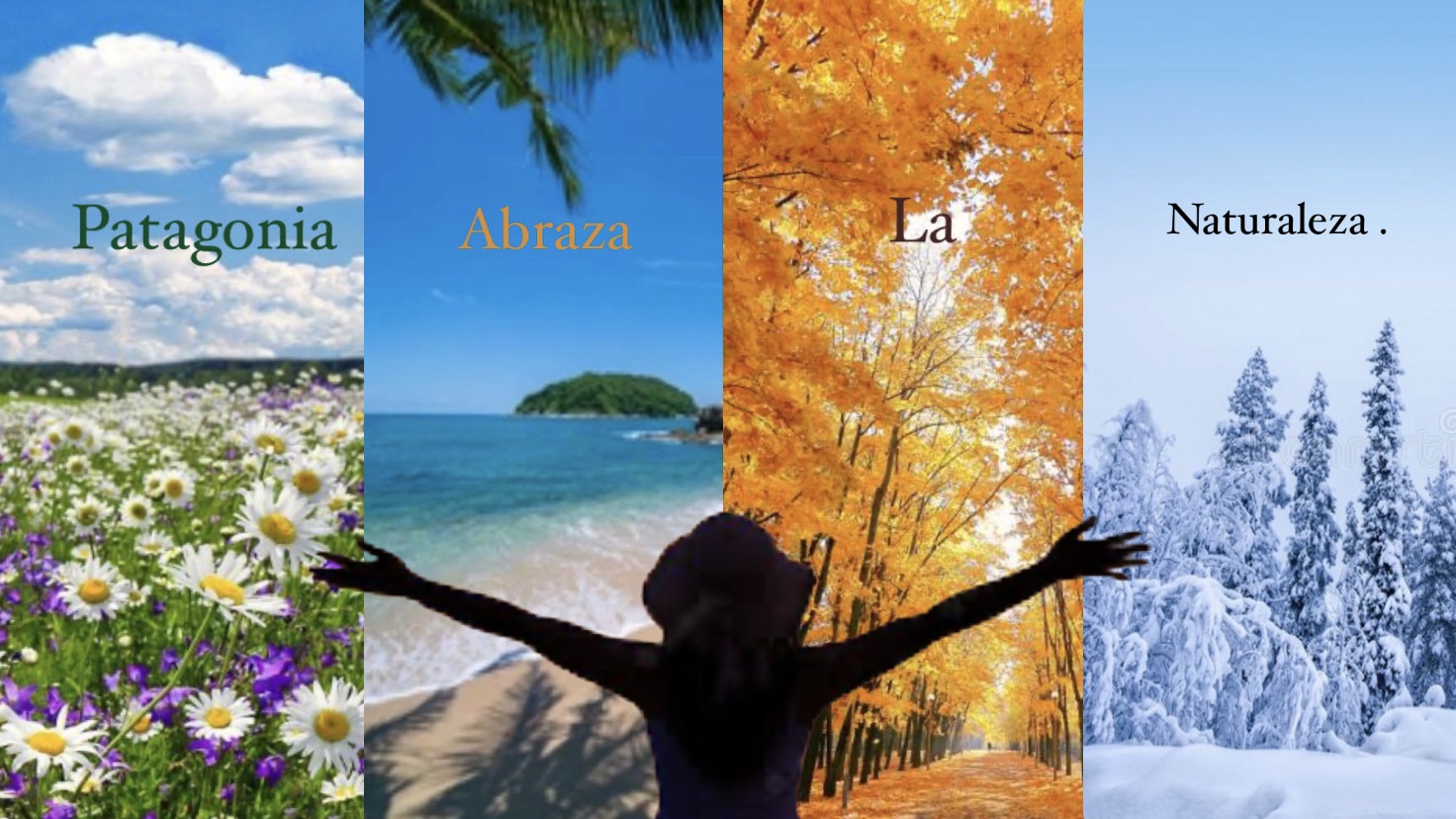 Seguramente has escuchado de Patagonia como una compañía de ropa al aire libre, o has escuchado de ella en las noticias  últimamente. Pero ¿en realidad conoces la razón tras esto? Patagonia es  una marca que trabaja para la naturaleza. Buscamos salvar el planeta tierra y tú puedes ser parte de la solución.