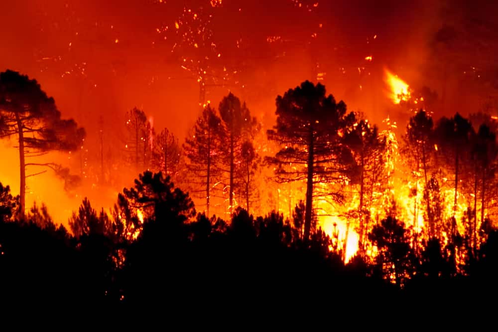 incendios-forestales-altas-temperaturas